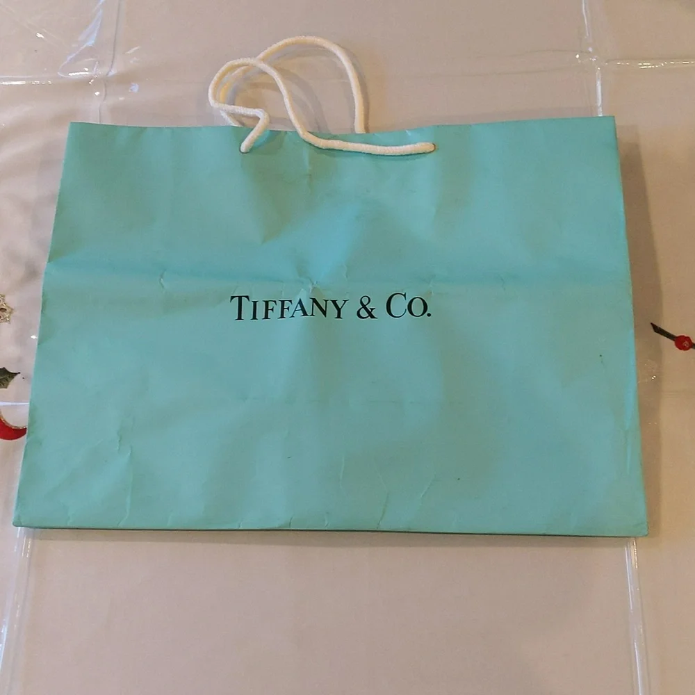Authentic Tiffany & Co. Gift bag Tiffany Blue